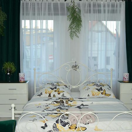 Apartament U Danusi Złoty Stok エクステリア 写真