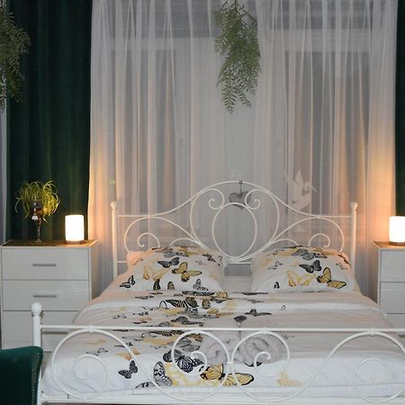 Apartament U Danusi Złoty Stok エクステリア 写真