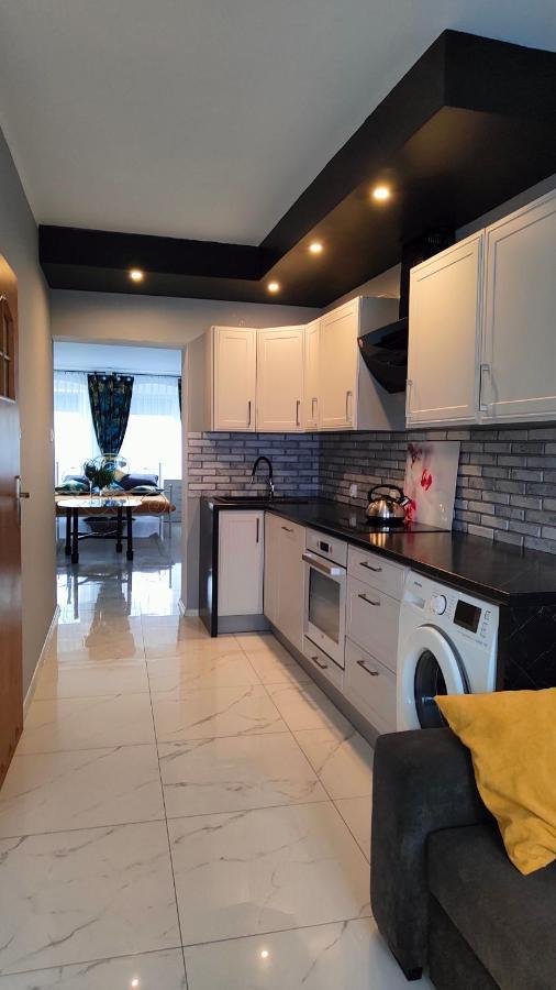 Apartament U Danusi Złoty Stok エクステリア 写真