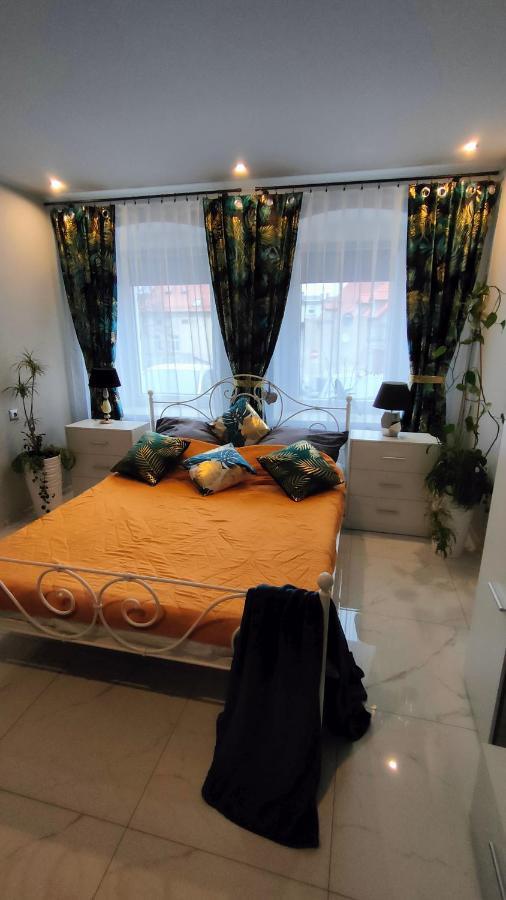 Apartament U Danusi Złoty Stok エクステリア 写真