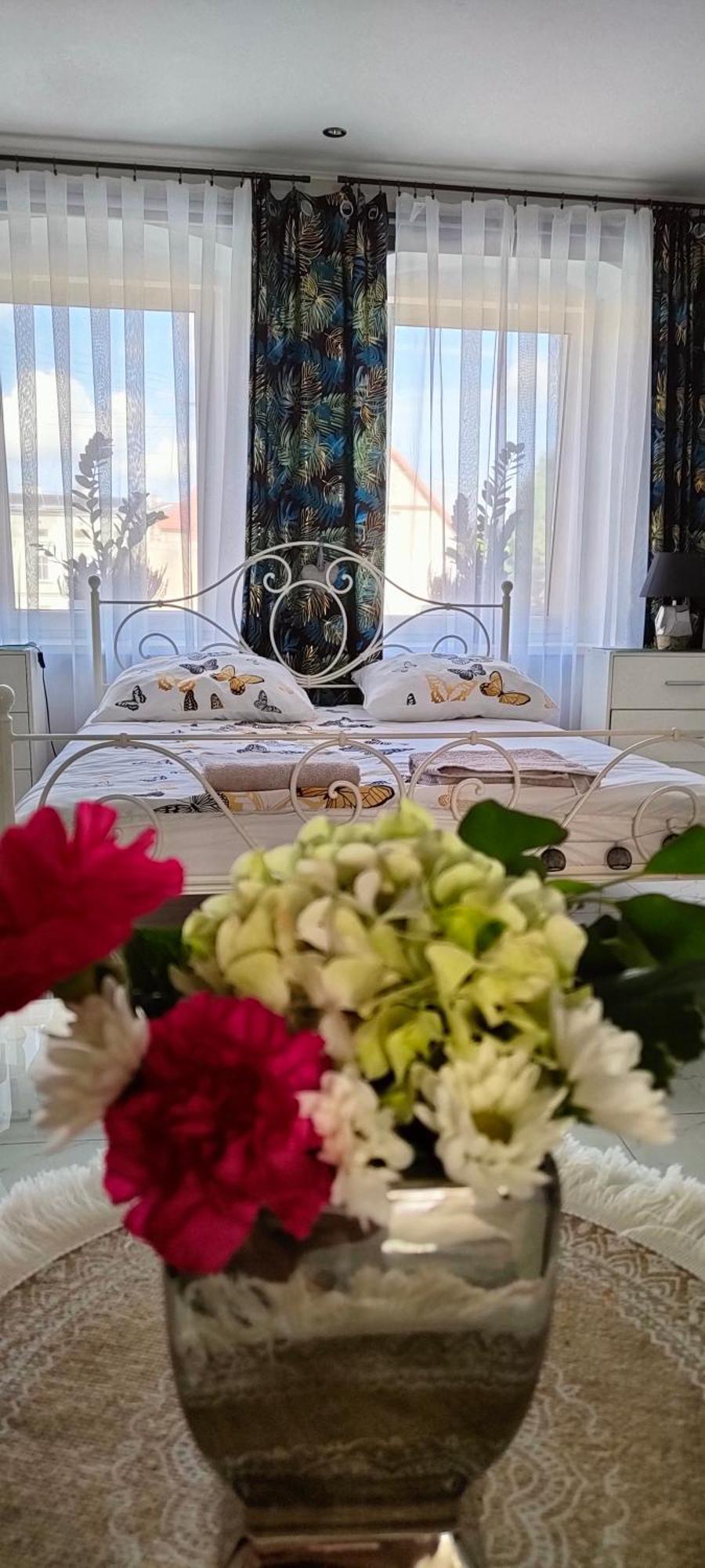 Apartament U Danusi Złoty Stok 部屋 写真