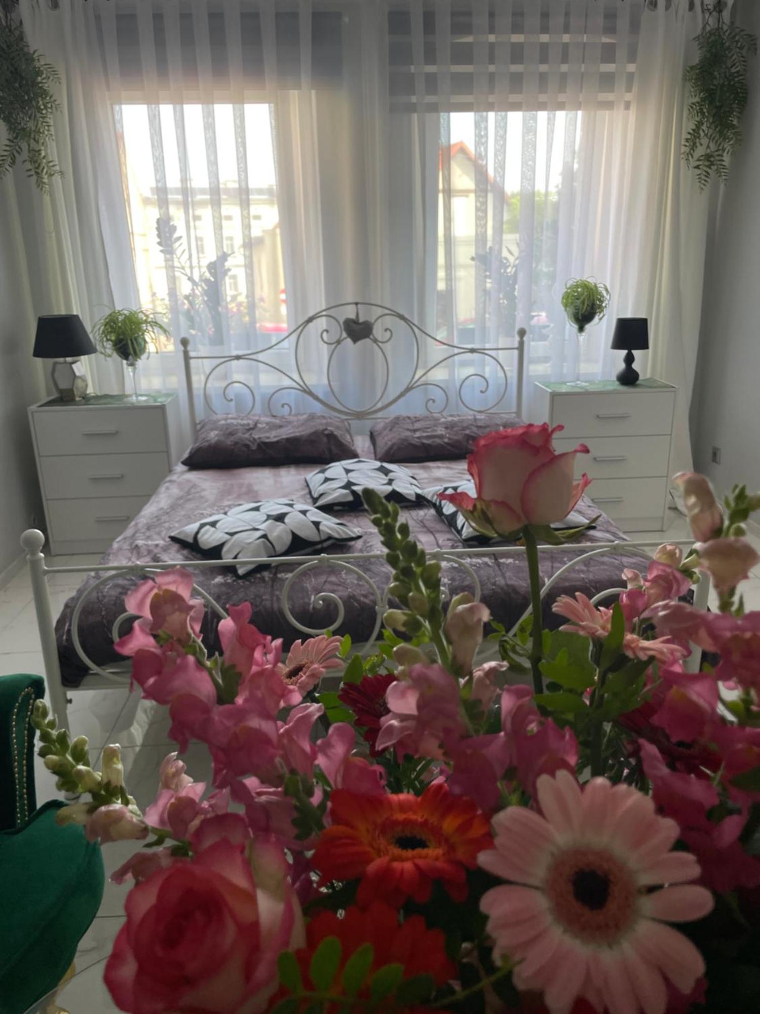 Apartament U Danusi Złoty Stok エクステリア 写真